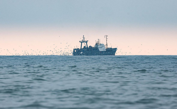 Read more about the article Экс-губернатор Приморья назвал главную проблему рыбной отрасли